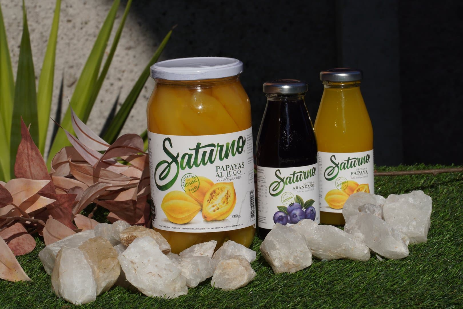 Productos Reservas del Elqui